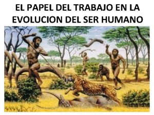 EL PAPEL DEL TRABAJO EN LA EVOLUCION DEL