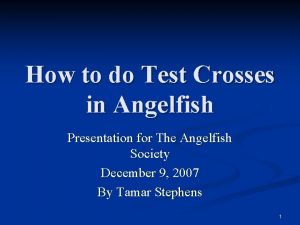 How to do Test Crosses in Angelfish Presentation