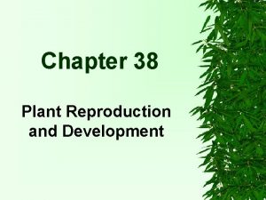 Chapter 38 Plant Reproduction and Development Alternation of