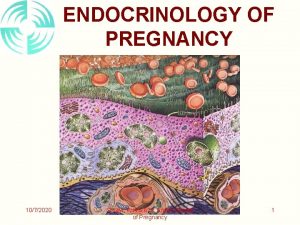 ENDOCRINOLOGY OF PREGNANCY 1072020 SCNM PHYS 628 Endocrinology