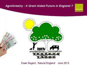 Agroforestry A Grant Aided Future in England Ewan