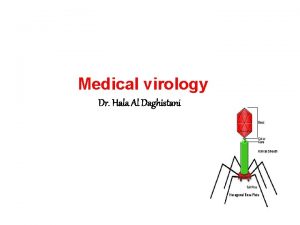 Medical virology Dr Hala Al Daghistani VIRUSES are