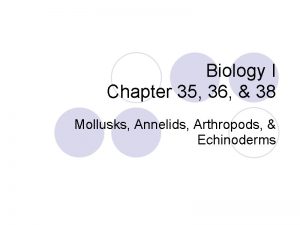 Mollusca segmentation