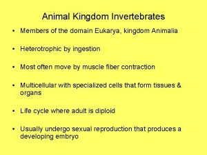 Animal Kingdom Invertebrates Members of the domain Eukarya