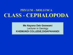 PHYLUM MOLLUSCA CLASS CEPHALOPODA Ms Nayana Deb Goswami