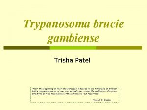 Trypanosoma brucie