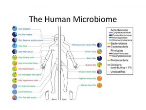The Human Microbiome The Biology of Microorganisms Microorganisms