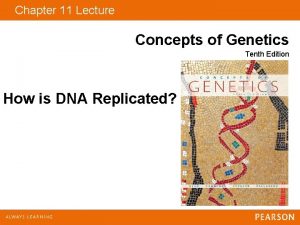 Chapter 11 Lecture Concepts of Genetics Tenth Edition