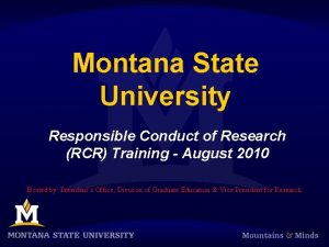 Msu rcr