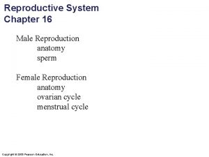 Parts of and functions of female reproductive system