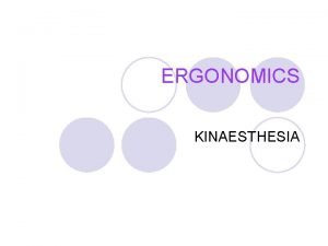 ERGONOMICS KINAESTHESIA ERGONOMICS l STUDY OF HUMAN BEINGS
