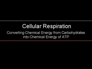 Cellular Respiration Converting Chemical Energy from Carbohydrates into