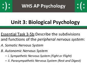 WHS AP Psychology Unit 3 Biological Psychology Essential