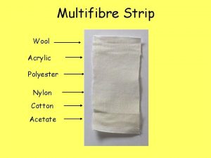 Multifiber strip