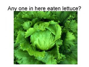 Any one in here eaten lettuce Anyone in