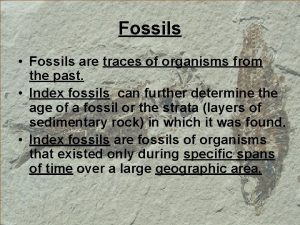 Fossils Fossils are traces of organisms from the