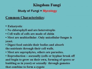 Fungi characteristics and examples