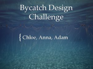 Bycatch Design Challenge Chloe Anna Adam Students will