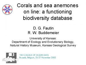 Corals and sea anemones on line a functioning