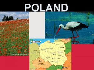 Polish national symbols Polish national symbols