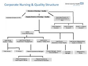 Corporate Nursing Quality Structure Director of Nursing Quality