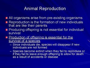Animal Reproduction All organisms arise from preexisting organisms