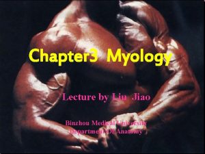 Chapter 3 Myology Lecture by Liu Jiao Binzhou