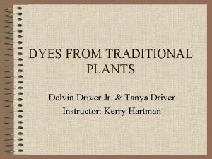 DYES FROM TRADITIONAL PLANTS Delvin Driver Jr Tanya