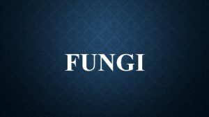 Threadlike fungi Threadlike fungi