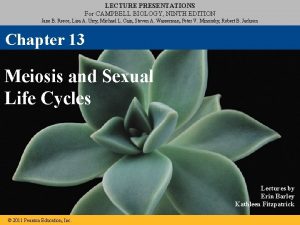 LECTURE PRESENTATIONS For CAMPBELL BIOLOGY NINTH EDITION Jane