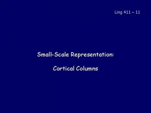 Ling 411 11 SmallScale Representation Cortical Columns Perspective