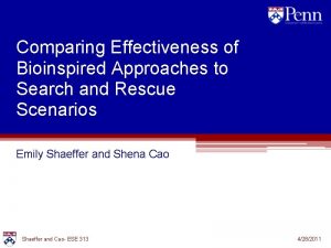 Comparing Effectiveness of Bioinspired Approaches to Search and