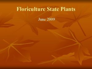 Floriculture State Plants June 2009 n n Daffodil
