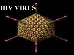 HIV VIRUS HIV HIV stands for Human Immunodeficiency