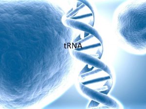 Rna transfer Rna transfer