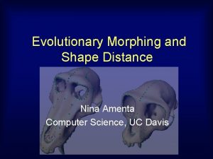Evolutionary Morphing and Shape Distance Nina Amenta Computer