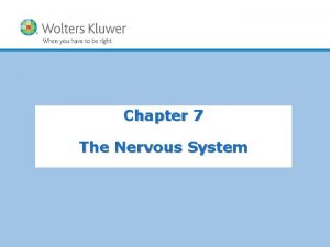 Chapter 7 The Nervous System Word Parts Cephalo