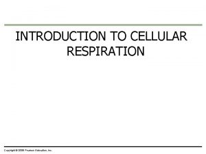 INTRODUCTION TO CELLULAR RESPIRATION Copyright 2009 Pearson Education