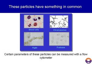 These particles have something in common Blood cells