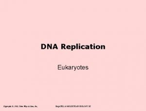 DNA Replication Eukaryotes Copyright 2002 John Wiley Sons