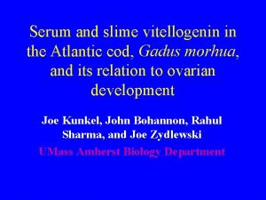 Serum and slime vitellogenin in the Atlantic cod