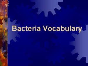 Bacteria Vocabulary Kingdom Bacteria Kingdom Bacteria Eubacteria Kingdom