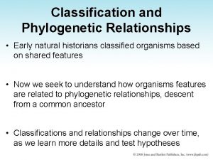 Classification and Phylogenetic Relationships Early natural historians classified