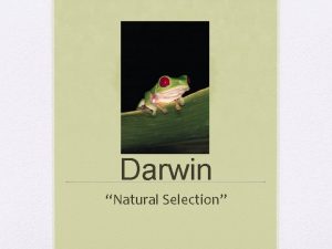 Darwin Natural Selection Natural Selection The process by