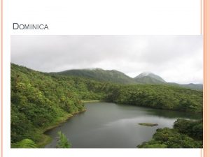 DOMINICA THEME LAND USE Indicator Forest and other