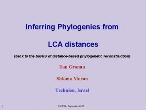 Inferring Phylogenies from LCA distances back to the