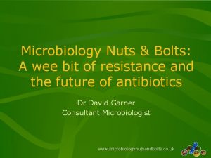 Nuts and bolts antibiotics
