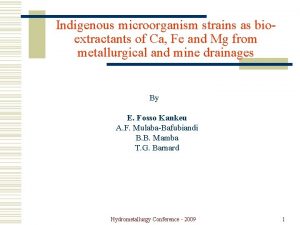 Indigenous microorganism strains as bioextractants of Ca Fe