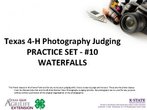 4-h photography judging