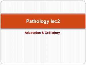 Pathology lec 2 Adaptation Cell injury Homeostasis Normal